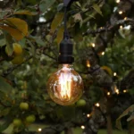 edisono-lempute-4w-e27-led-globe