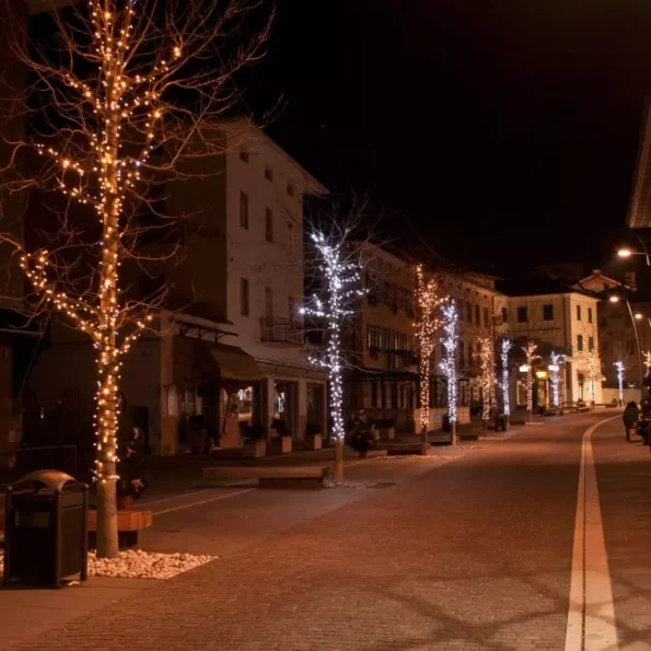 lauko-ir-vidaus-girlianda-led-lemputes-10-m-proled-juoda (2)