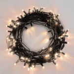 lauko-ir-vidaus-girlianda-led-lemputes-10-m-proled-juoda (6)